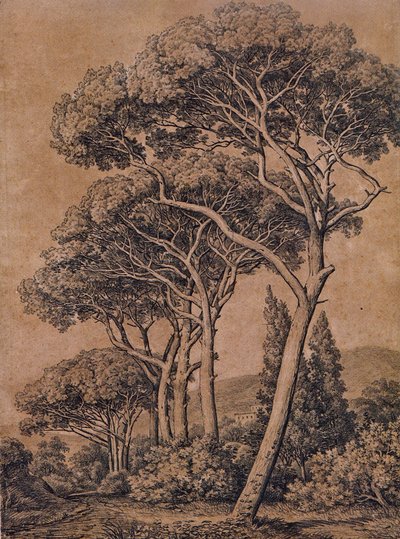 J C Reinhart Paraplytallar 1791 av Johann Christian Reinhart