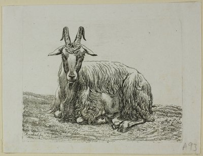 Liggande get, från Die Zweite Thiernahme av Johann Christian Reinhart