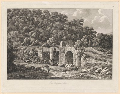 Landskap - Ponte Aquoreo i Tivoli av Johann Christian Reinhart