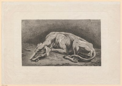 Sovande vinthund av Johann Christian Reinhart