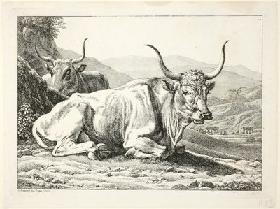 Två romerska tjurar som vilar, från Die Zweite The Erfolge av Johann Christian Reinhart