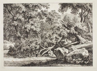 Skogsmiljö med en knäckt ek av Johann Christian Reinhart