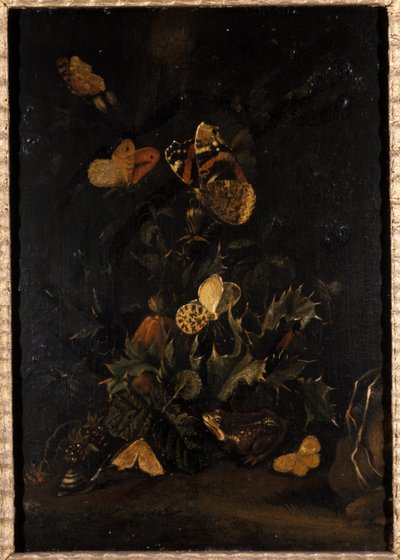 Blommor med fjärilar och padda (olja på ekträ) av Johann Christian Thomas Winck