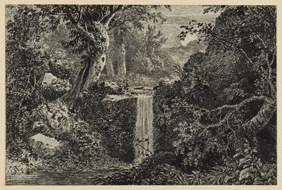 Vattenfall i skogen av Johann Christoph Erhard