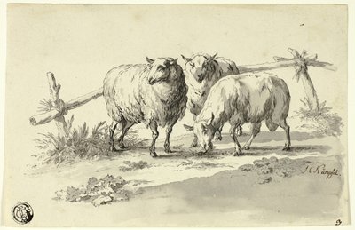 Får av Johann Christoph Kimpfel