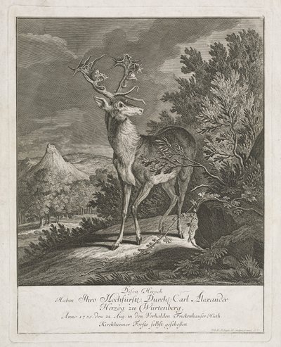 En magnifik hjort i ett landskap av Johann Elias Ridinger