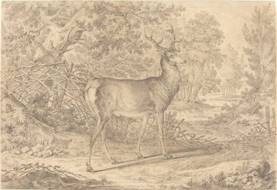 En fantastisk ung hjort framför ett Wattle-staket av Johann Elias Ridinger