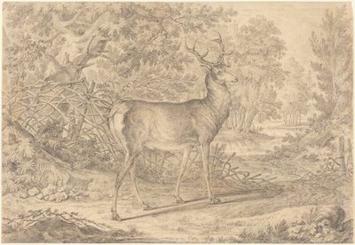 En ståtlig ung kronhjort framför ett flätverksstaket av Johann Elias Ridinger