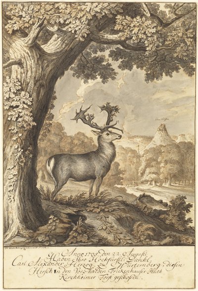 En hjort under en mäktig ek av Johann Elias Ridinger