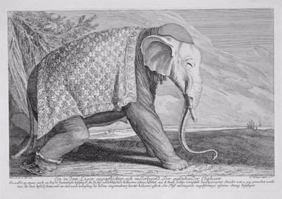 En elefant av Johann Elias Ridinger or Riedinger