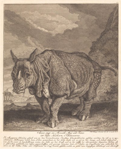 Noshörning av Johann Elias Ridinger