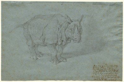 Noshörningen "Fröken Clara" av Johann Elias Ridinger