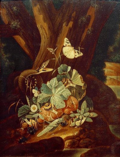 Insekter, sniglar och orm av Johann Falch