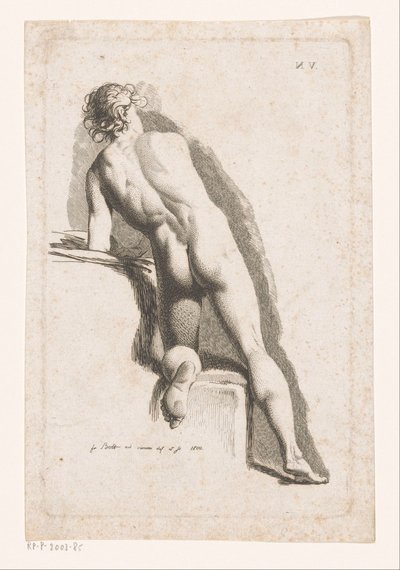 Knästående hane naken, sedd bakifrån av Johann Friedrich Bolt