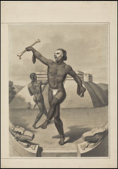 En samling av Waldecks originalkonstverk från Mesoamerika, ruta 10 av 22 av Johann Friedrich Maximilian von Waldeck