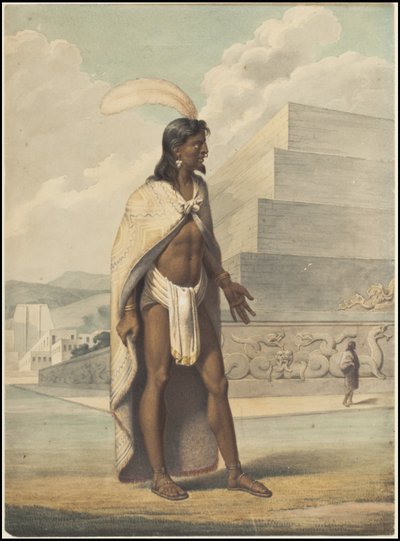 En samling av Waldecks originalkonstverk från Mesoamerika, ruta 3 av 22 av Johann Friedrich Maximilian von Waldeck