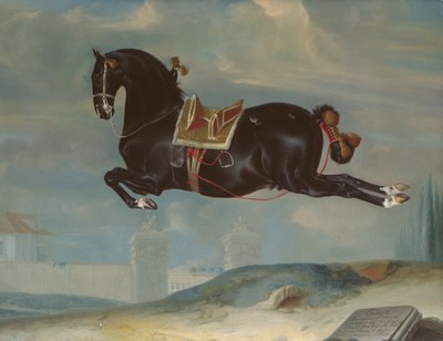 Den svarta hästen "Curioso" utför en Capriole av Johann Georg Hamilton