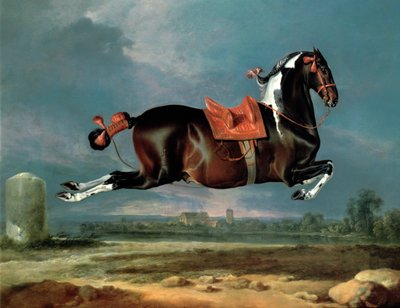 Den faluröda hästen "Cehero" på uppbåd av Johann Georg Hamilton