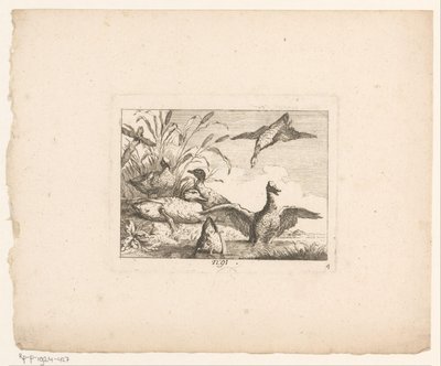 Landskap med sex ankor Fåglar i landskap (serietitel) av Johann Georg Hertel (I) (possibly)