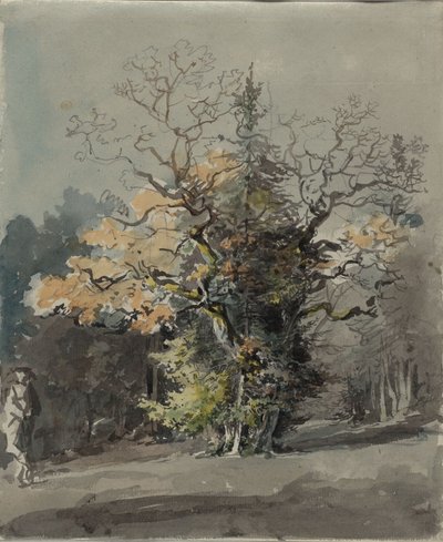 Trädgrupp framför skog av Johann Georg von Dillis