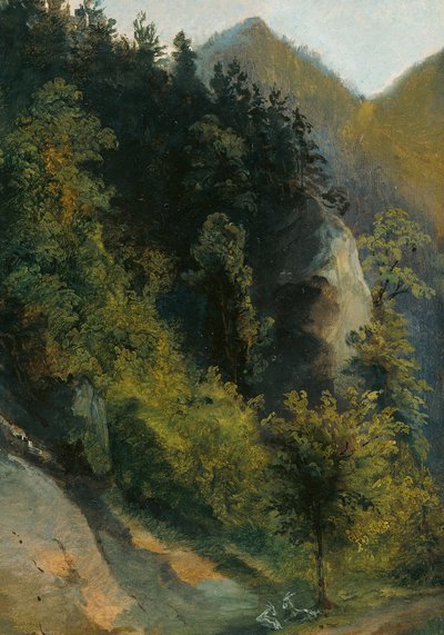 Skogklädd klippdal med getter av Johann Georg von Dillis