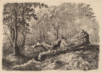 Formande trädstam av Johann Georg von Dillis