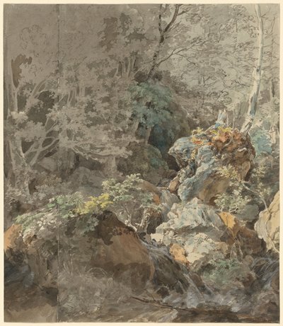 Vattenfall i en bergsskog, 1797. av Johann Georg von Dillis