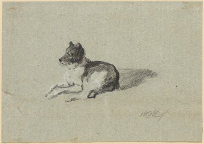 Två studier på hundar av Johann Georg von Dillis