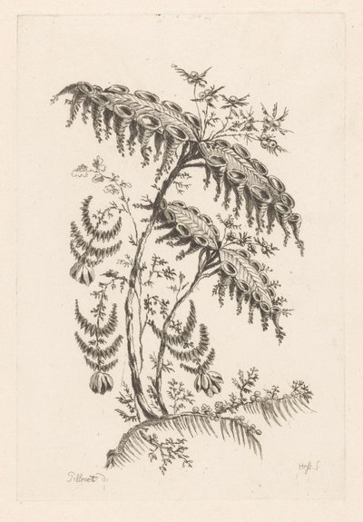Blad med hornformer Fleures Baroque (serietitel) av Johann Heinrich  Hess