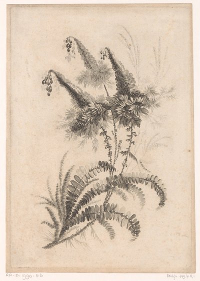 Puntige blommor Samling av nya smakblommor; För Manufacture des Etoffes de Perse (serietitel) av Johann Heinrich  Hess