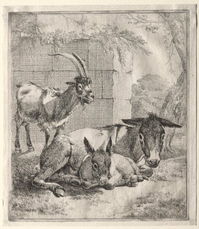Get och åsnor av Johann Heinrich Roos