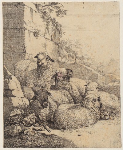 Fyra liggande och ett stående får framför en mur, blad ur serien ”Får och getter” av Johann Heinrich Roos