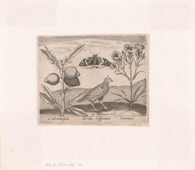 Serie av tryck med blommor och djur i ett landskap Landskap med citronplanta, vaktel och speedwell Landskap med djur, växter och blommor (serietitel) av Johann Hogenberg