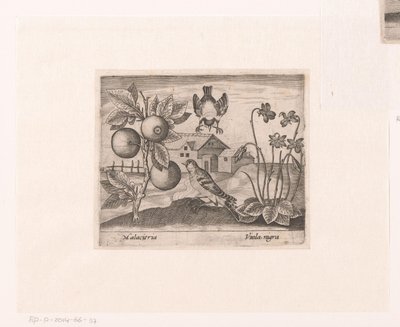 Serie av tryck med blommor och djur i ett landskap Landskap med citrusväxt, fåglar och violer Landskap med djur, växter och blommor (serietitel) av Johann Hogenberg