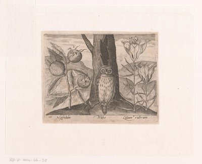 Serie av tryck med blommor och djur i ett landskap Landskap med mispel, lilja och uggla Landskap med djur, växter och blommor (serietitel) av Johann Hogenberg