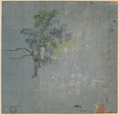 Trädstudier (verso) av Johann Jacob Dorner