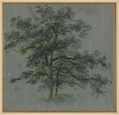 Två träd (recto) av Johann Jacob Dorner