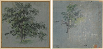 Två träd (recto) Trädstudier (verso) av Johann Jacob Dorner