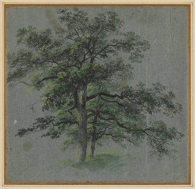 Two Trees recto Tree Studies tergo, första hälften av 1800-talet. av Johann Jacob Dorner
