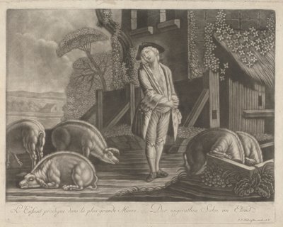 swedish av Johann Jacobus Haid