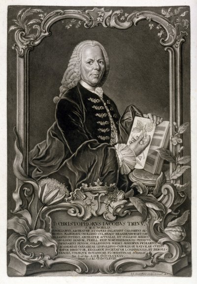 C. J. Trew, botaniker, pub. c.1768 av Johann Jakob Haid