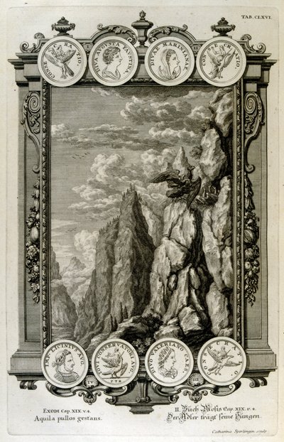 Zeus symboliserad som en örn av Johann Jakob Scheuchzer