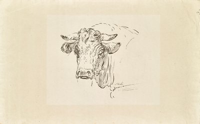 tjurhuvud av Johann Josef Schindler