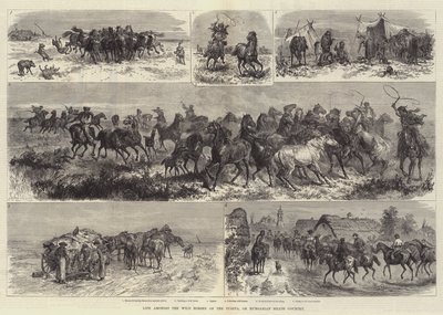 Livet bland de vilda hästarna i Puszta, eller ungerska hedekontoret av Johann Nepomuk Schonberg