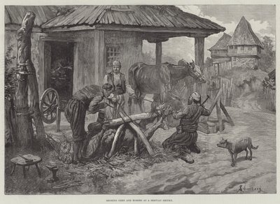 Skoning av oxar och hästar i en smedja i Servian av Johann Nepomuk Schonberg