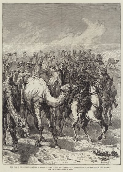 Kriget i Soudan, fångst av trehundra kameler av generalmajor Sartorius i en spaning från Souakim av Johann Nepomuk Schonberg