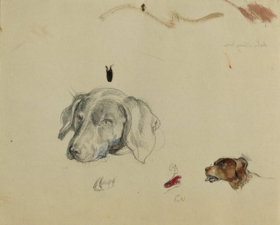 hundstudie av Johann Peter Krafft