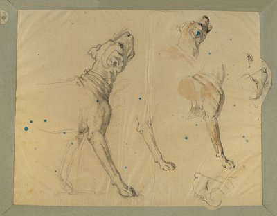 Hundstudie för "Landwehr-mannens hemkomst" (1820) av Johann Peter Krafft