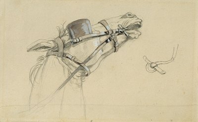 Studie av ett hästhuvud för "kejsar Franz från Pressburgs återkomst" av Johann Peter Krafft