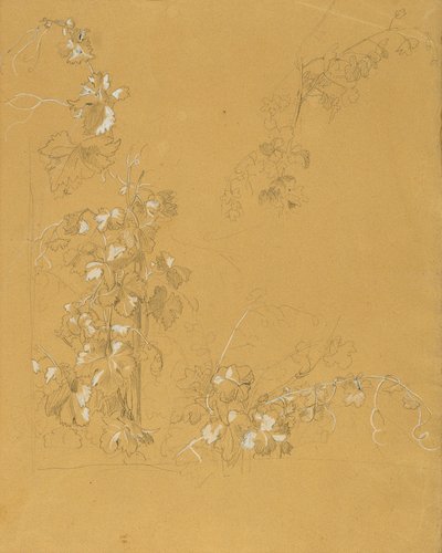 Weinstock, studie för "Hermann och Dorothea i vingården" av Johann Peter Krafft
